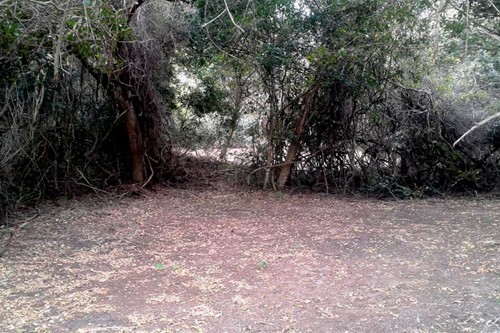 Tierras del Mar 2020 (17)